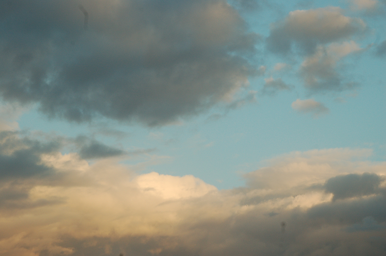 random_photo__7_by_darkressxx-d5wwr02.png