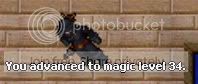 ml34.jpg