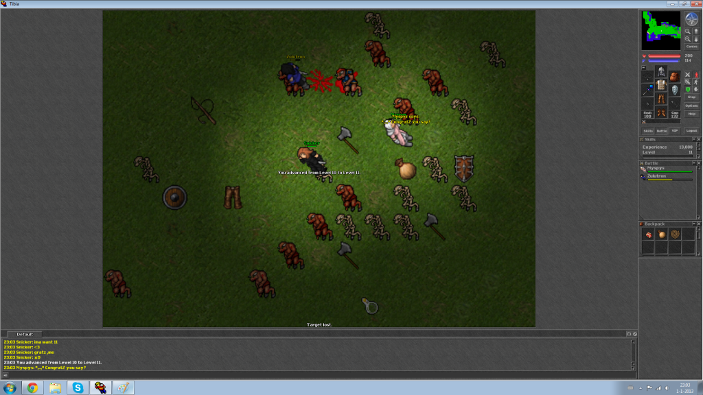 Level11_zpsef48b5db.png