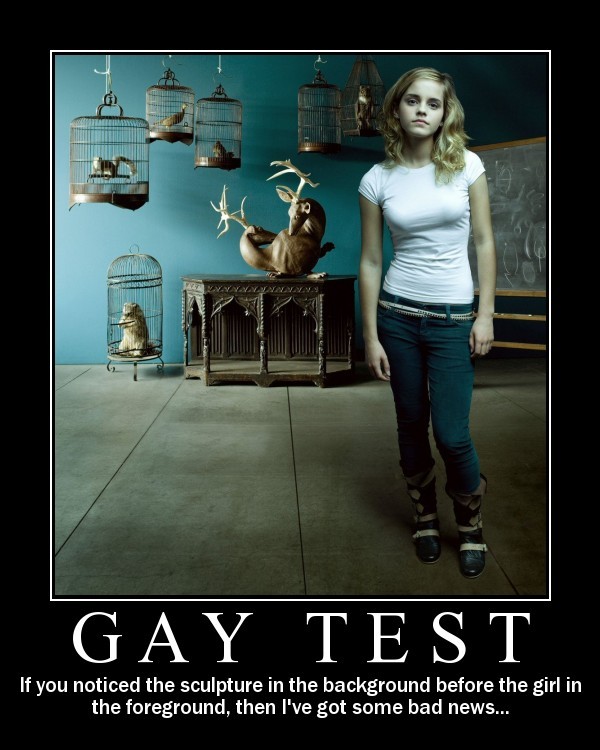 Gay%20Test.jpg