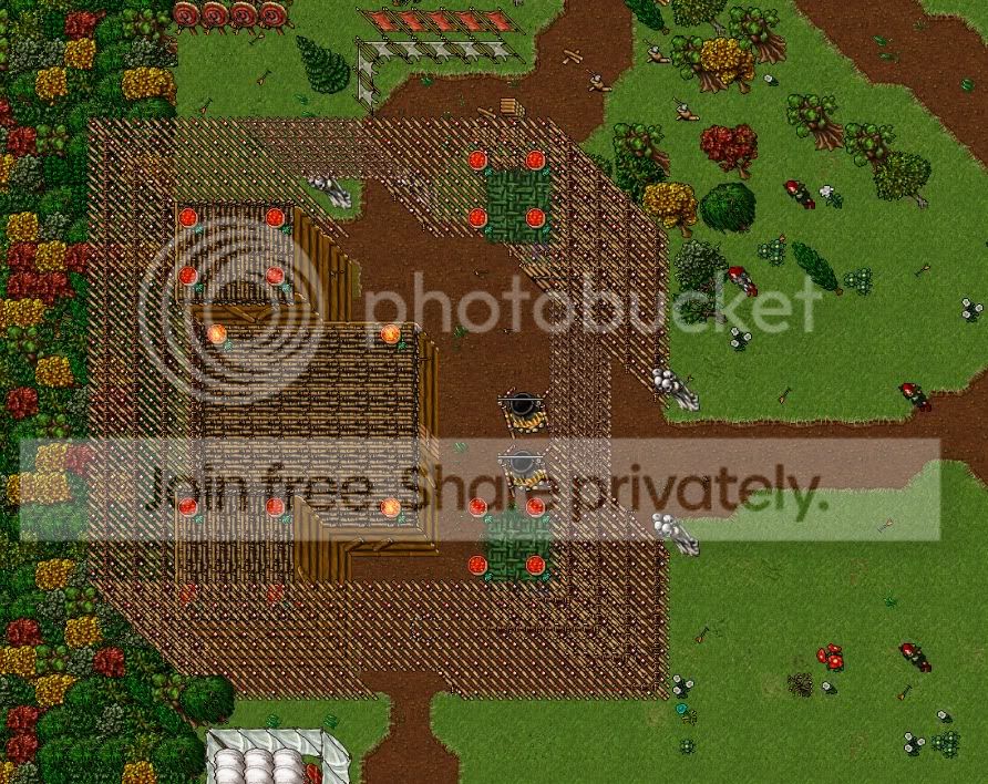 banditcamp2.jpg