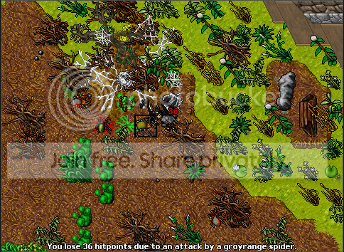 6-3.png