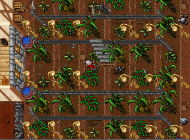 marijuan.png