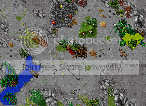 ss21.png