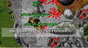 level5_zps99536bdc.png