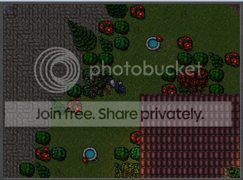 Screen5.png