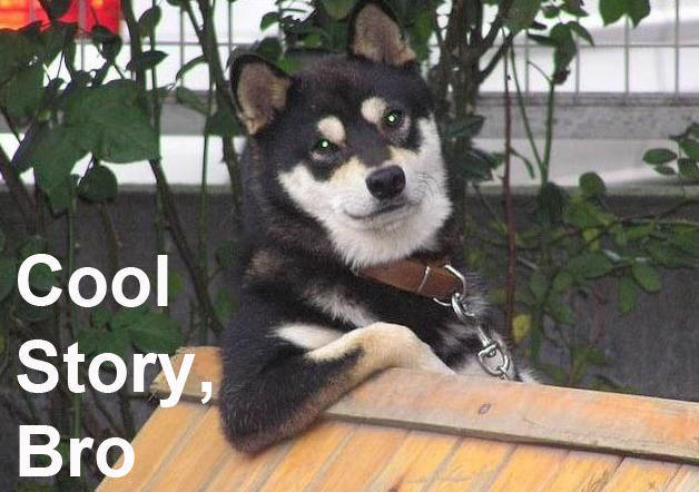 20533_cooldogdone.jpg