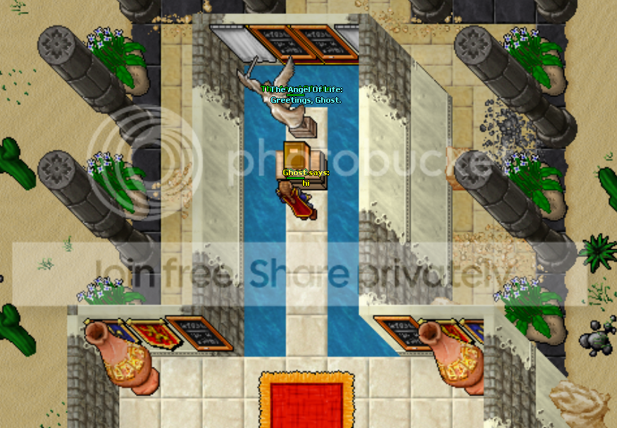 exola5.png