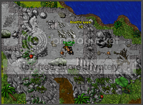 Ingame03.png