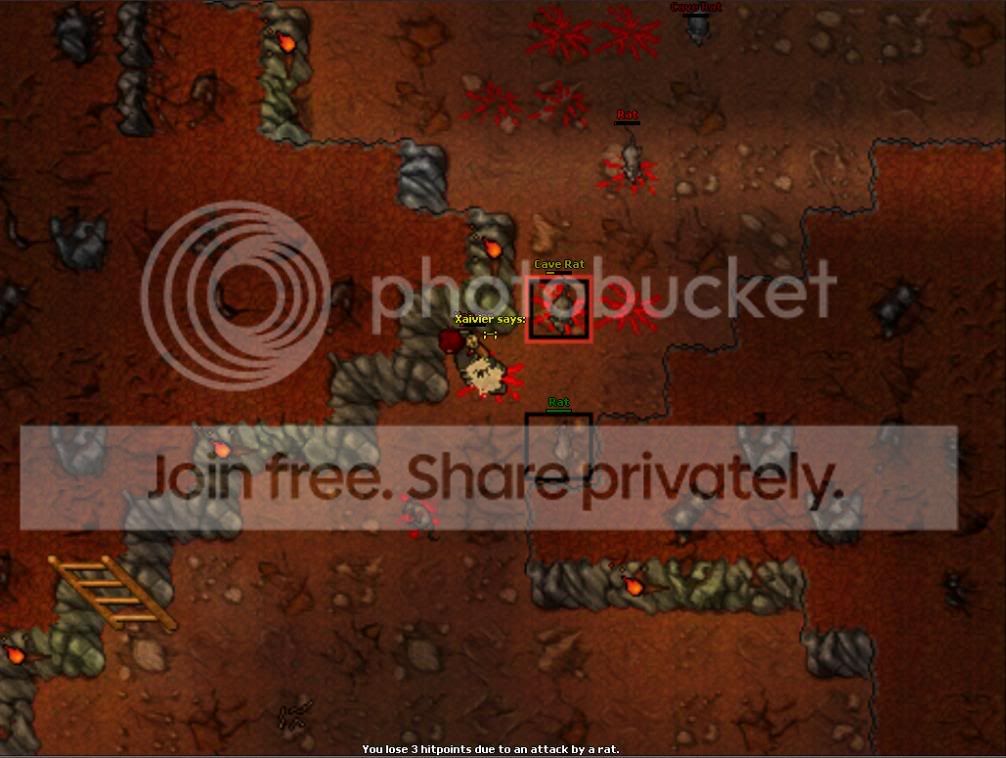 R3.jpg