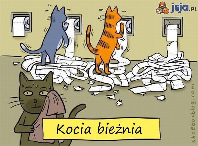 5134_koci-trening.jpg