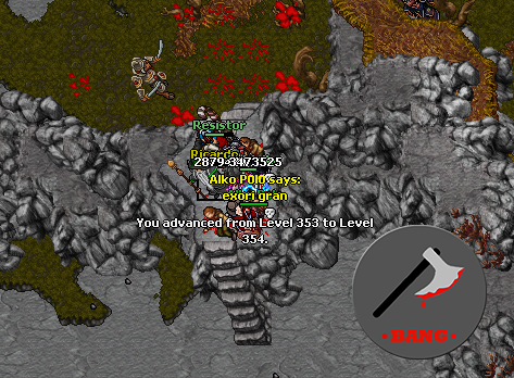 zdj4.png