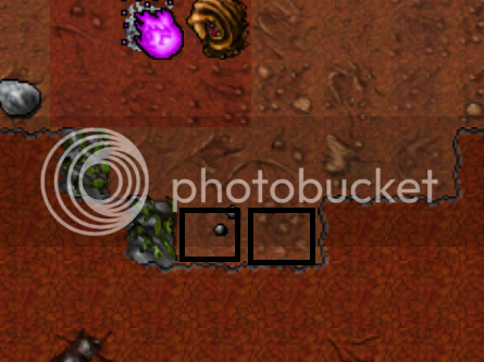 Walk2.png