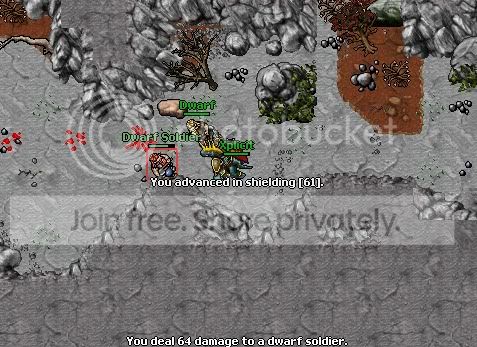 map5.jpg