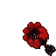 1601623718-37349.png