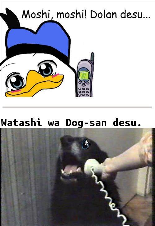 tumblr_m6nwjoqbzW1ryfjgdo1_500.jpg