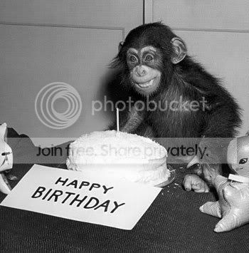 Happy-Birthday-Chimp-Note-Card-C117.jpg