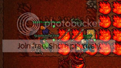 DL.jpg