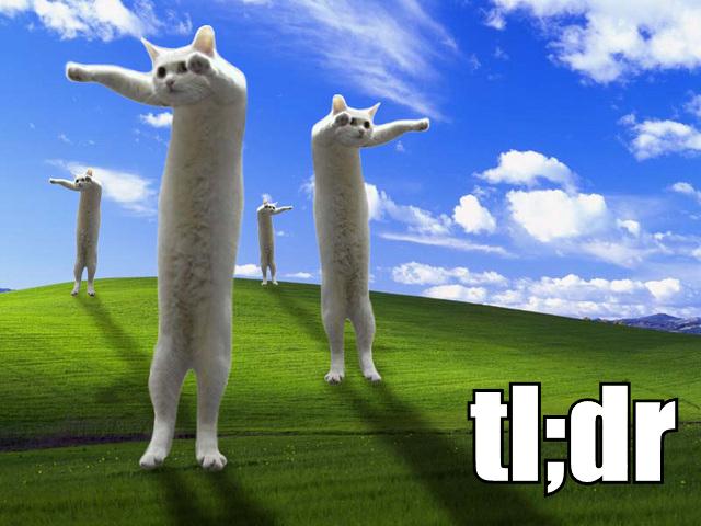 tldr_longcat.jpg