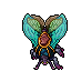 1546548705-Lacewing_Moth_(Mount).gif