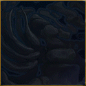 125x125gi_qqeawsh.gif