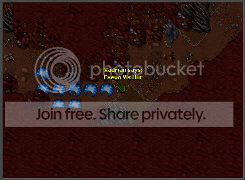 5.png