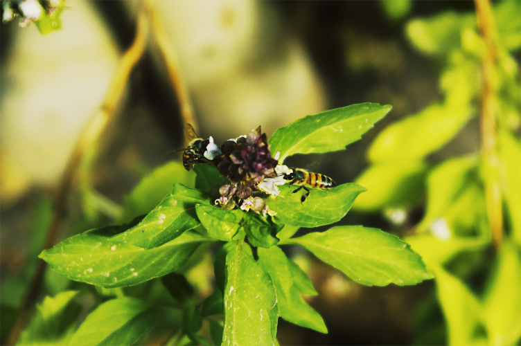 random_photo__8_by_darkressxx-d5zqz3h.png