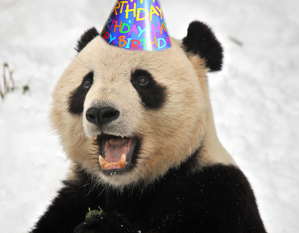 gp_birthday.jpg