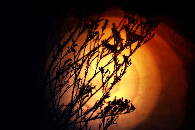 effects_of_lights__2_by_darkressxx-d6aeqi2.png