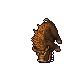 Boar.gif