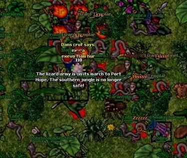 lizard%20raid%20ph%202.jpg