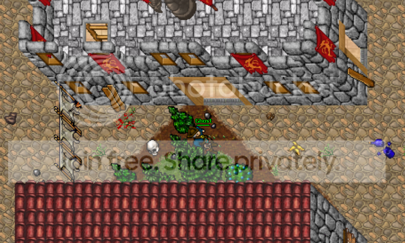 7.png