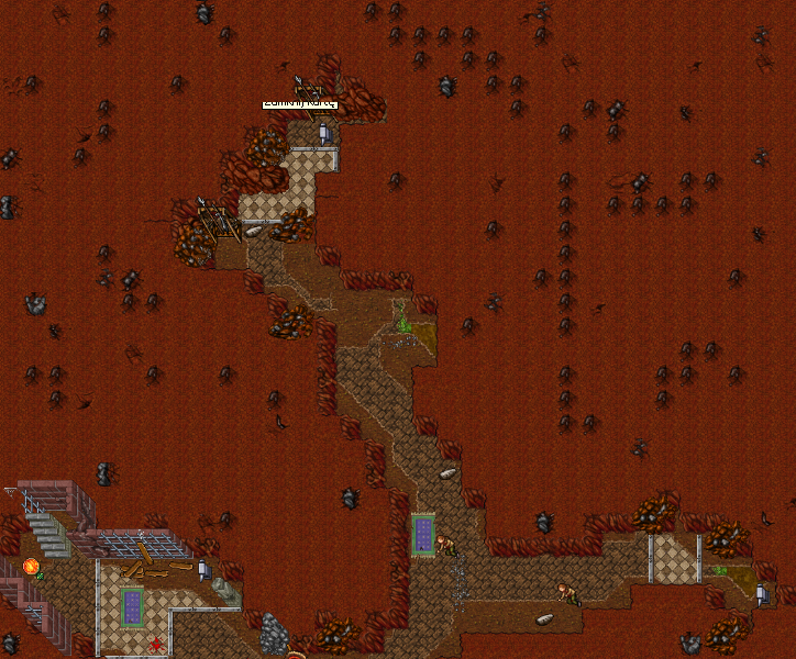 555.png