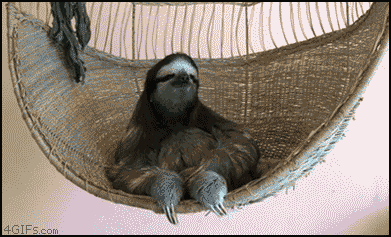 c77fd0cc8483.gif