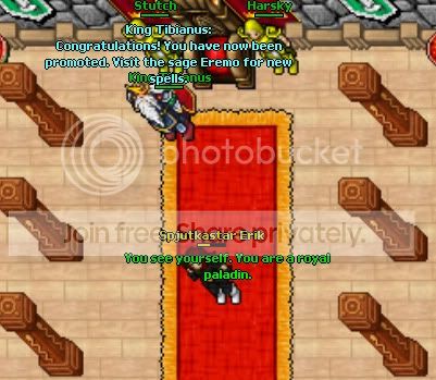 promo.jpg