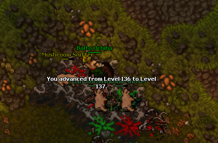 hhKZTGq.png