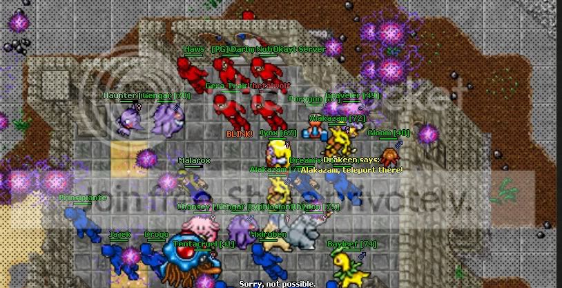 pvp1.jpg