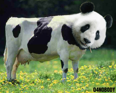 eatsbamoo.jpg