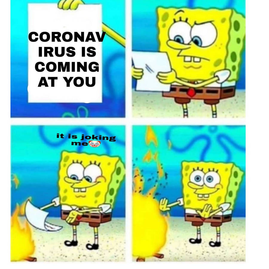 52993775.jpg