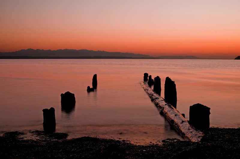 DSC8159-L.jpg