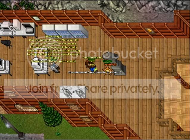 wee17.jpg