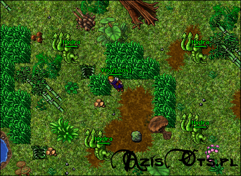 PBV9stp.png