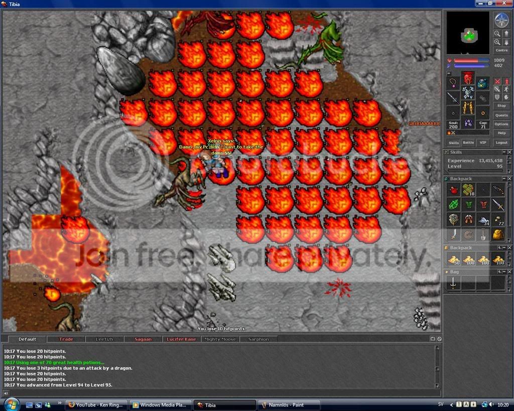 lvl95.jpg