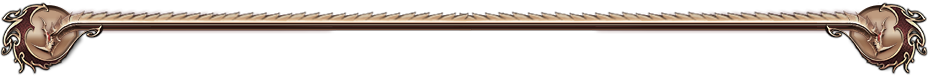 content_border_top.png