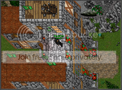 Ingame07.png
