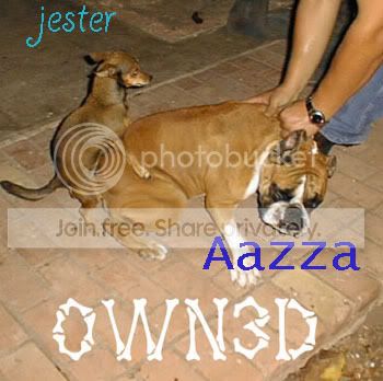 owned-dogscopia.jpg
