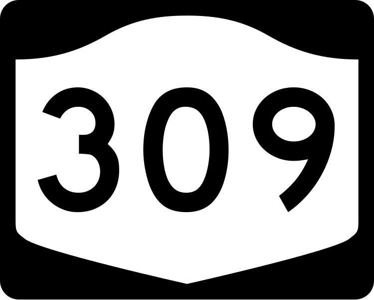 750px-NY-309.svg.png