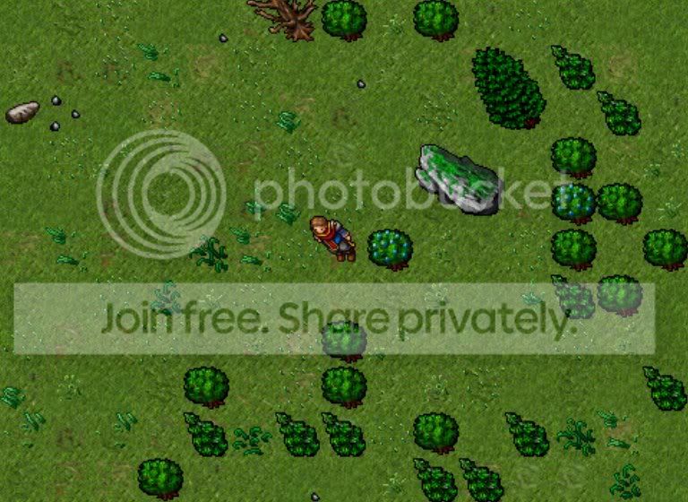 nature1.jpg