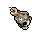 skull_candle.gif