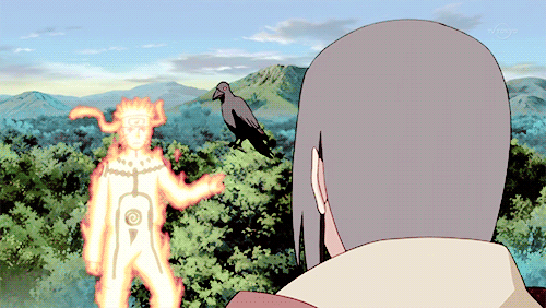 tumblr_ng14qfZO2u1qbq5g5o2_500.gif